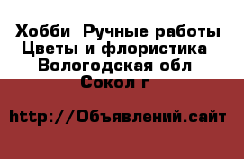 Хобби. Ручные работы Цветы и флористика. Вологодская обл.,Сокол г.